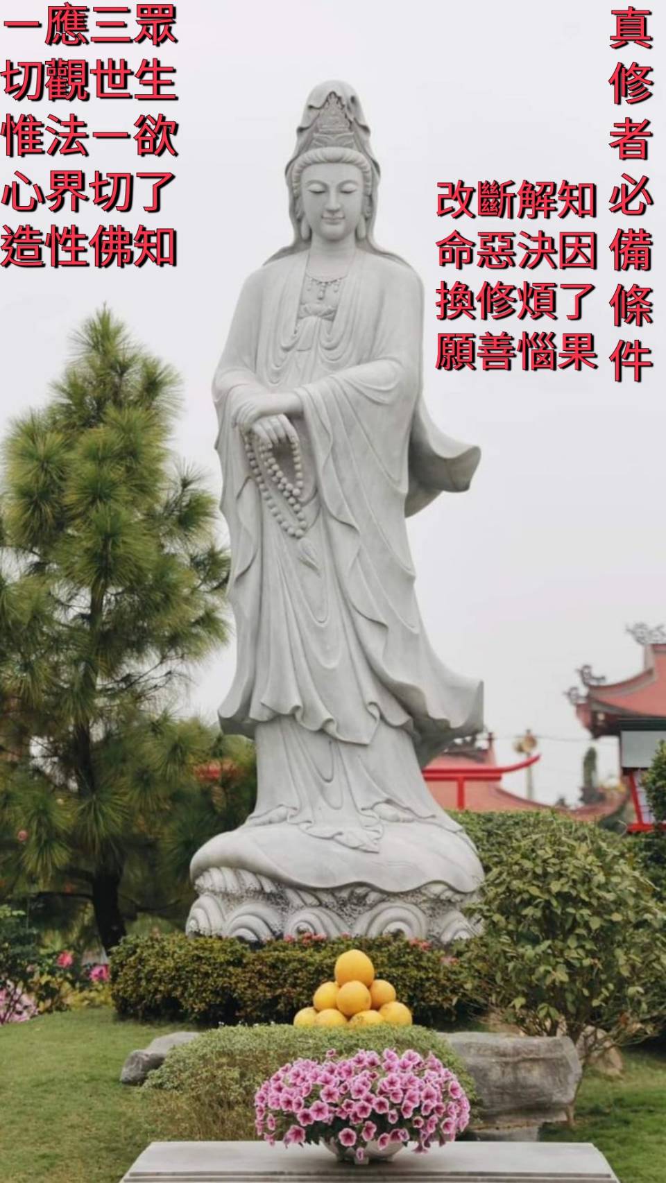 (2026年變更; 新的銀行帳號) 玉山銀行 新竹分行：0060-968-455356（代號808） 戶名： 伍 柏 臻